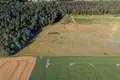 Land 933 m² Nieczajna, Poland