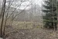 Land 2 658 m² Nekielka, Poland