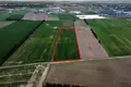 Działki 13 344 m² Murowana Goślina, Polska