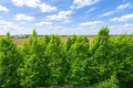 3 room apartment 57 m² Tarnowo Podgorne, Poland
