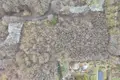 Land 2 658 m² Nekielka, Poland