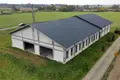 Shop 800 m² in Wagrowiec, Poland