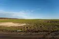 Land 1 355 m² Kazmierz, Poland