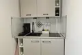 1 room apartment 24 m² in Krakow, Poland