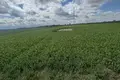 Działki 4 805 m² Gołuski, Polska