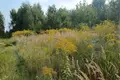 Land 1 458 m² Bytkowo, Poland