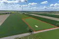 Działki 4 805 m² Gołuski, Polska