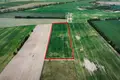 Działki 13 344 m² Murowana Goślina, Polska