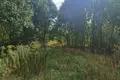 Land 1 492 m² Bytkowo, Poland