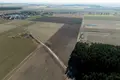Land 28 100 m² Strzepin, Poland
