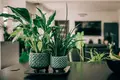 4 room apartment 94 m² Gdynia, Poland
