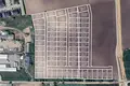Land 678 m² Tarnowo Podgorne, Poland