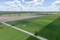 Działki 4 805 m² Gołuski, Polska