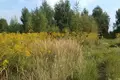Land 1 458 m² Bytkowo, Poland