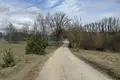 Land 1 076 m² Borowiec, Poland