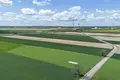 Działki 4 805 m² Gołuski, Polska