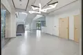 Apartment 268 m² in Krakow, Poland