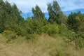 Land 1 458 m² Bytkowo, Poland
