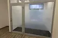 Apartment 351 m² in Lodz, Poland