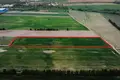 Działki 13 344 m² Murowana Goślina, Polska