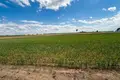 Apartment 5 600 m² Swiatniki Male, Poland