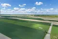 Działki 4 805 m² Gołuski, Polska