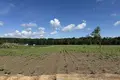Land 1 355 m² Kazmierz, Poland