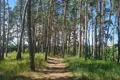 Land 510 m² Czerwonak, Poland
