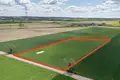 Działki 4 805 m² Gołuski, Polska