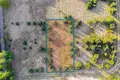 Land 1 463 m² Czmoniec, Poland
