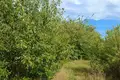 Land 1 458 m² Bytkowo, Poland