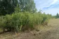 Land 1 492 m² Bytkowo, Poland