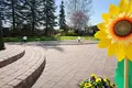 Dom 3 100 m² Marlewo, Polska