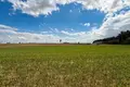 Apartment 5 600 m² Swiatniki Male, Poland
