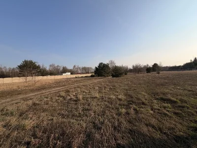 Działki 